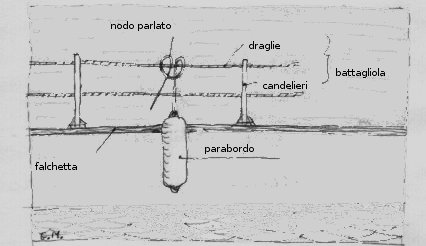 Image battagliola