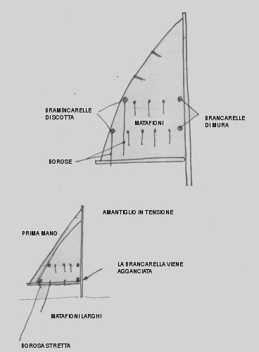 Image terzaroli