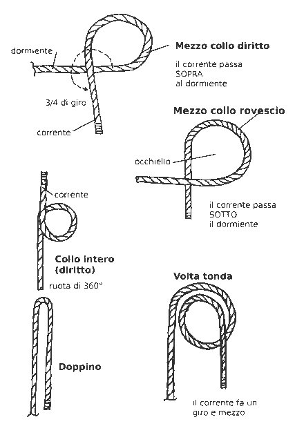 Image colli
