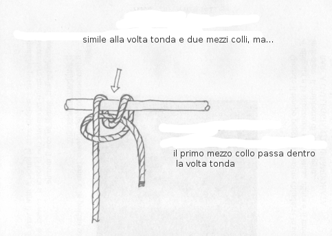 Image nodo-ancorotto